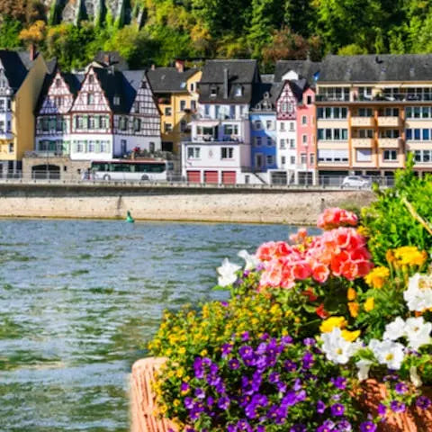 What-to-know-before-you-send-flowers-to-Germany Flora Queen