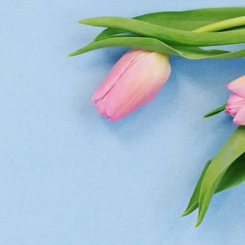 Decoration-ideas-for-the-spring Flora Queen