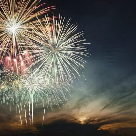 Everyone-s-celebrating-Summer-including-us Flora Queen