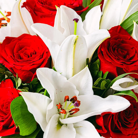Love note Flora Queen