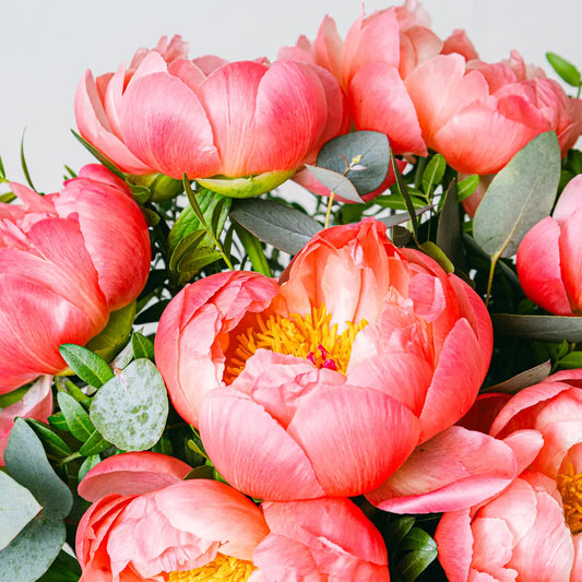 Bohemian Love Flora Queen Flora Queen