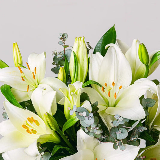 Bright Beginnings Flora Queen Flora Queen