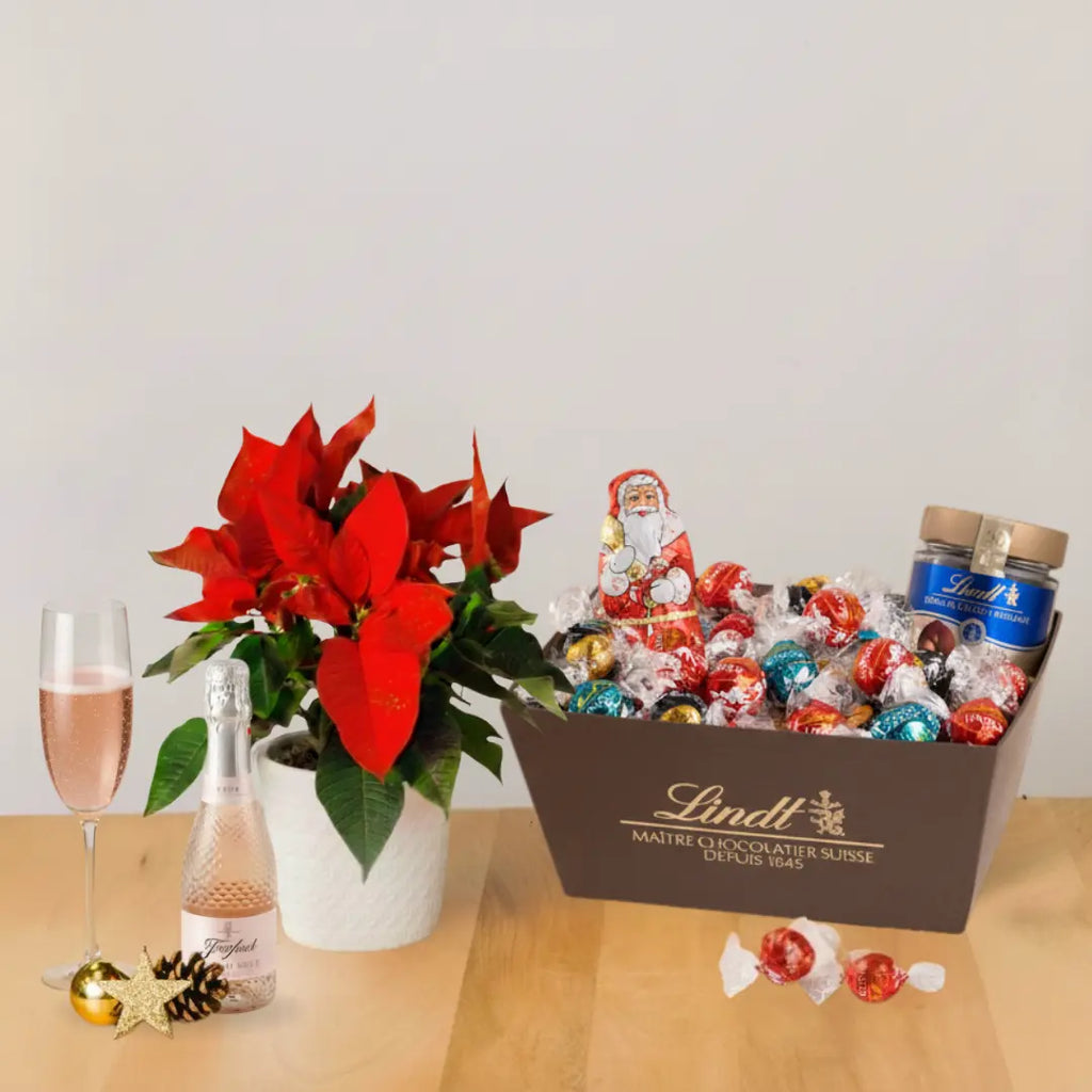 Lindt Festive Celebration Bundle Flora Queen Flora Queen