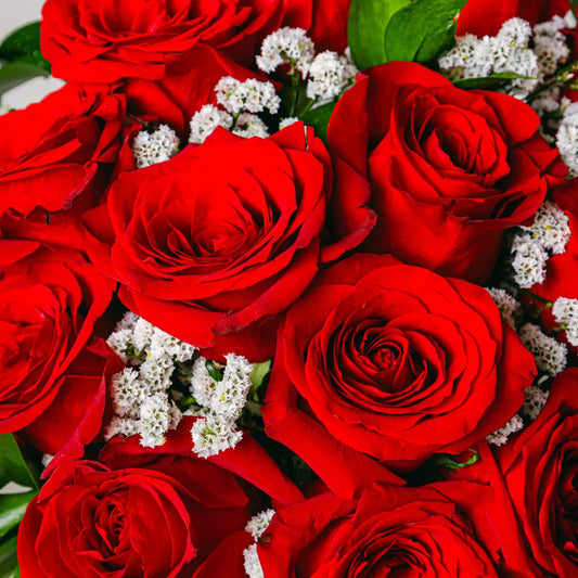Luxury 12 Red Roses - Premium Valentine's Gift Flora Queen Flora Queen