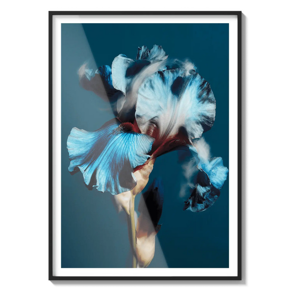 Ocean Bloom Flora Queen Flora Queen