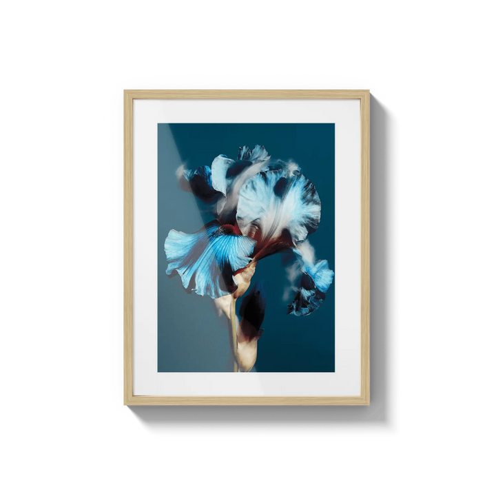 Ocean Bloom Flora Queen Flora Queen