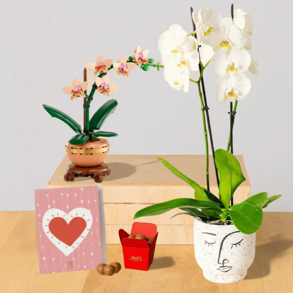 LEGO Set Orchids Gift Flora Queen Flora Queen